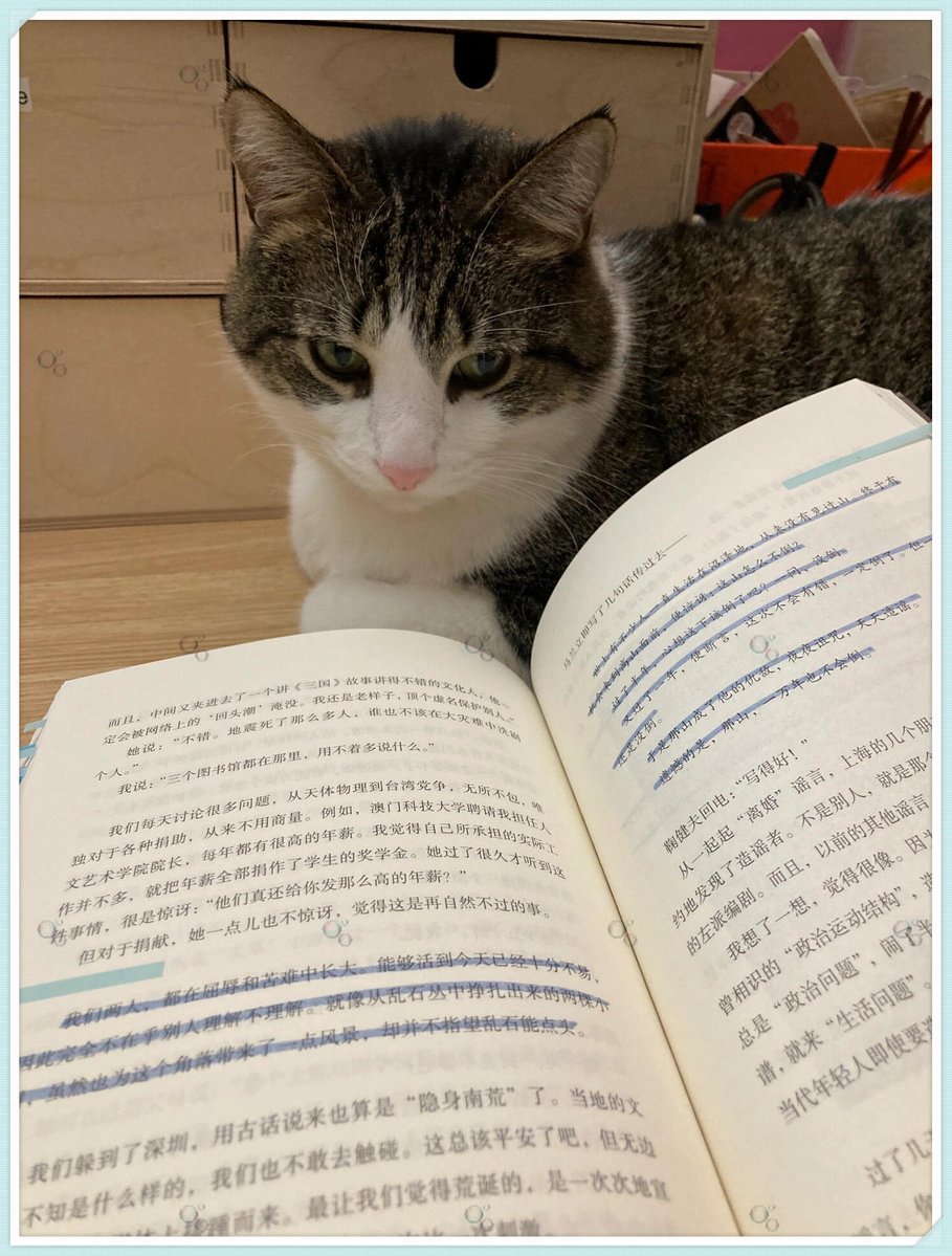 Michael Da Silva tweet media