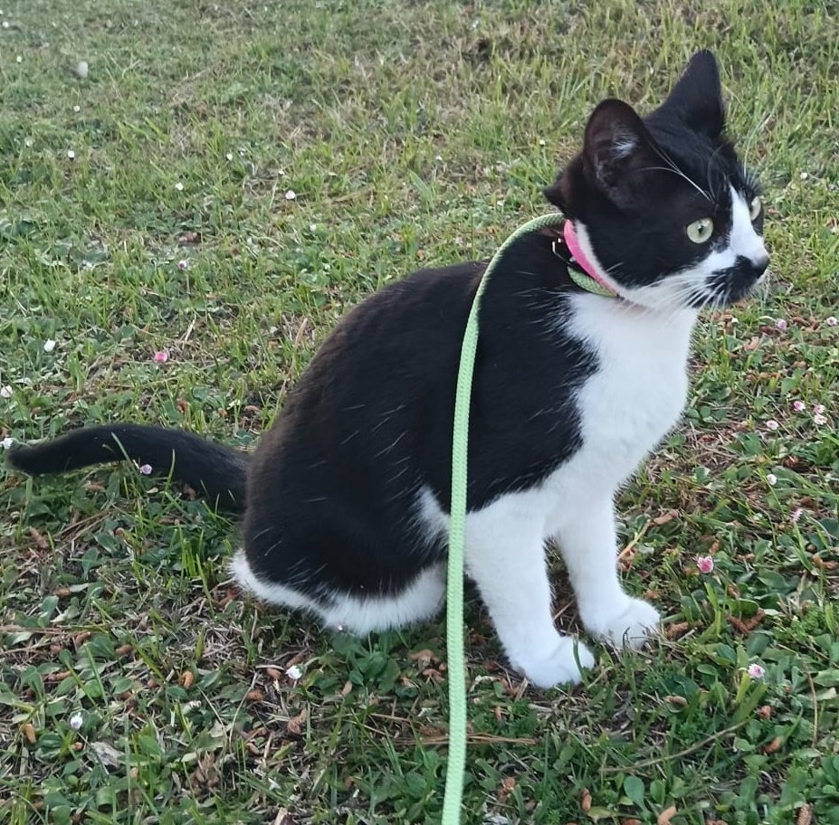 Najwa Bermejo 💢🆘 tweet media