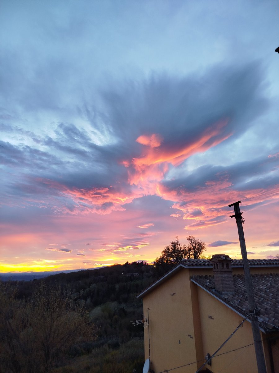 anna little tweet media