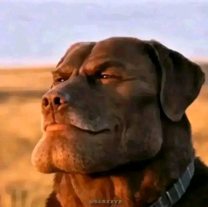 johnnova tweet media