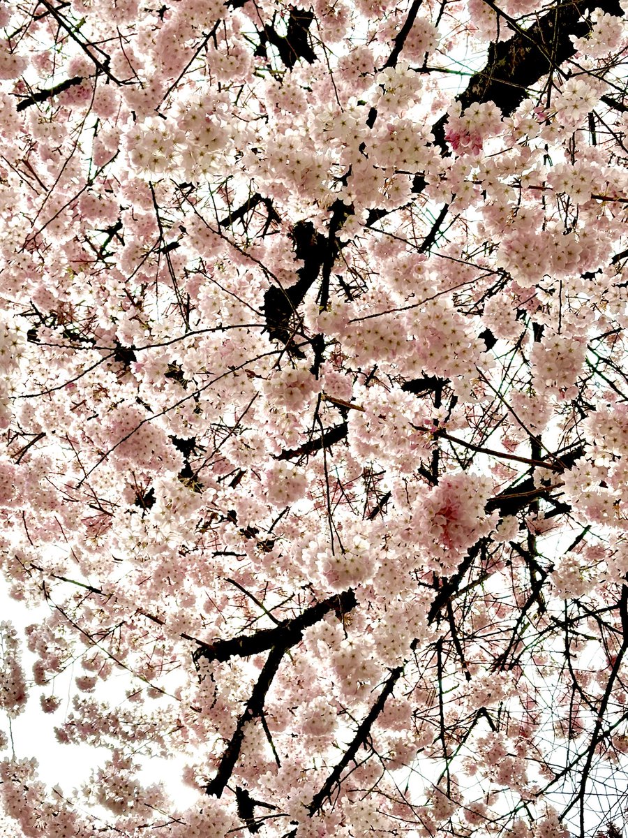 Jody Vance tweet media