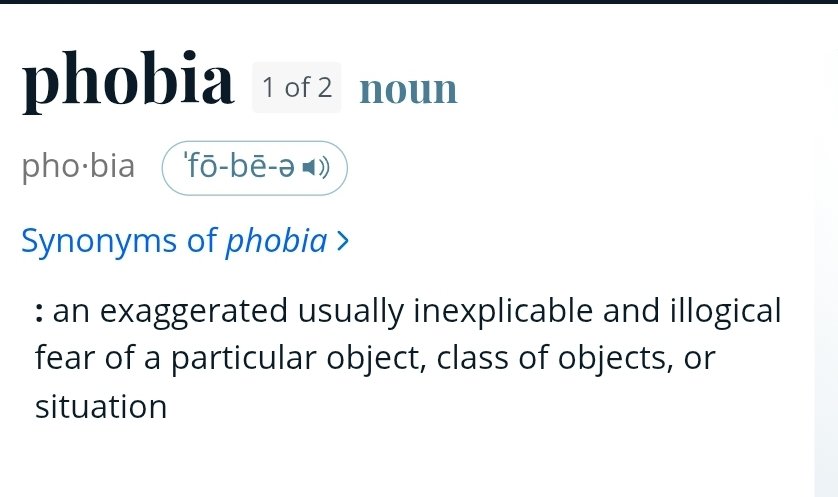 Alan Sheidler 🐭 tweet media