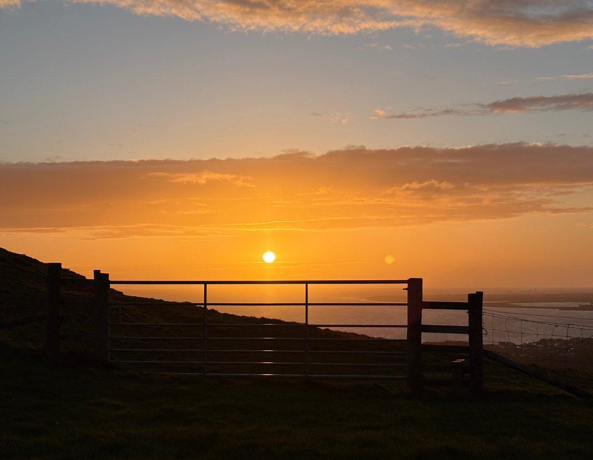 DaisyJuke tweet media