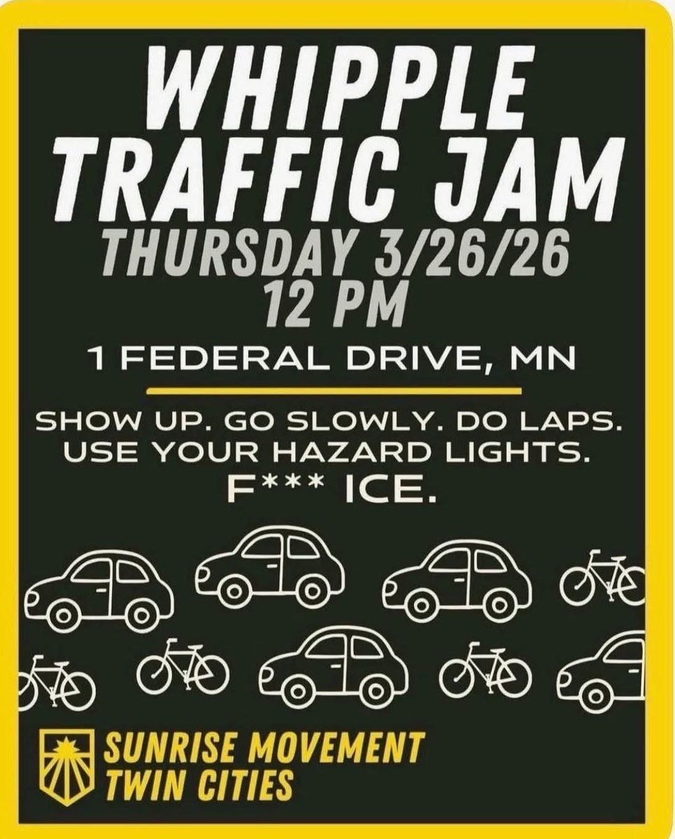 Minnesota Lady America First🇺🇸 tweet media