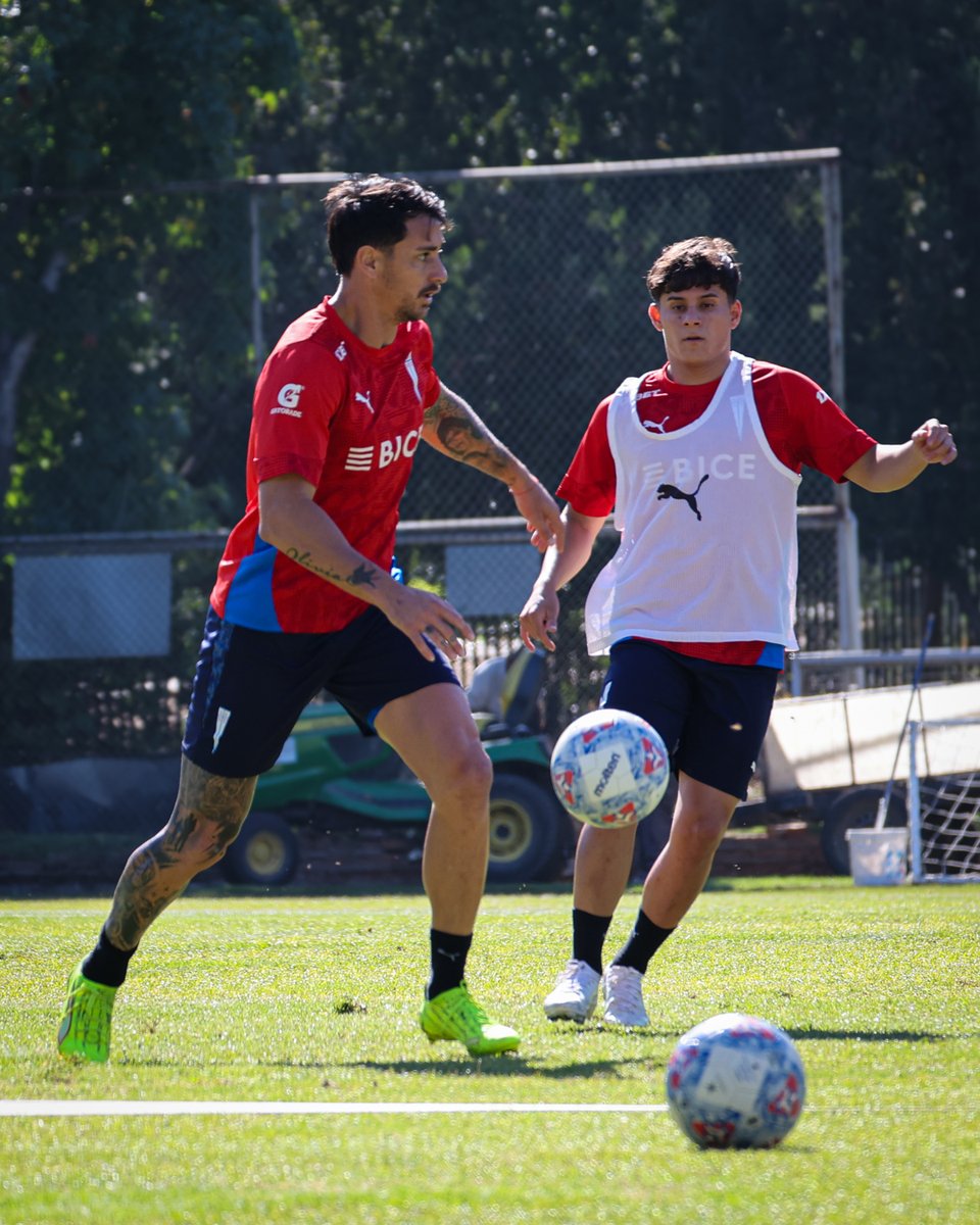 Universidad Católica tweet media