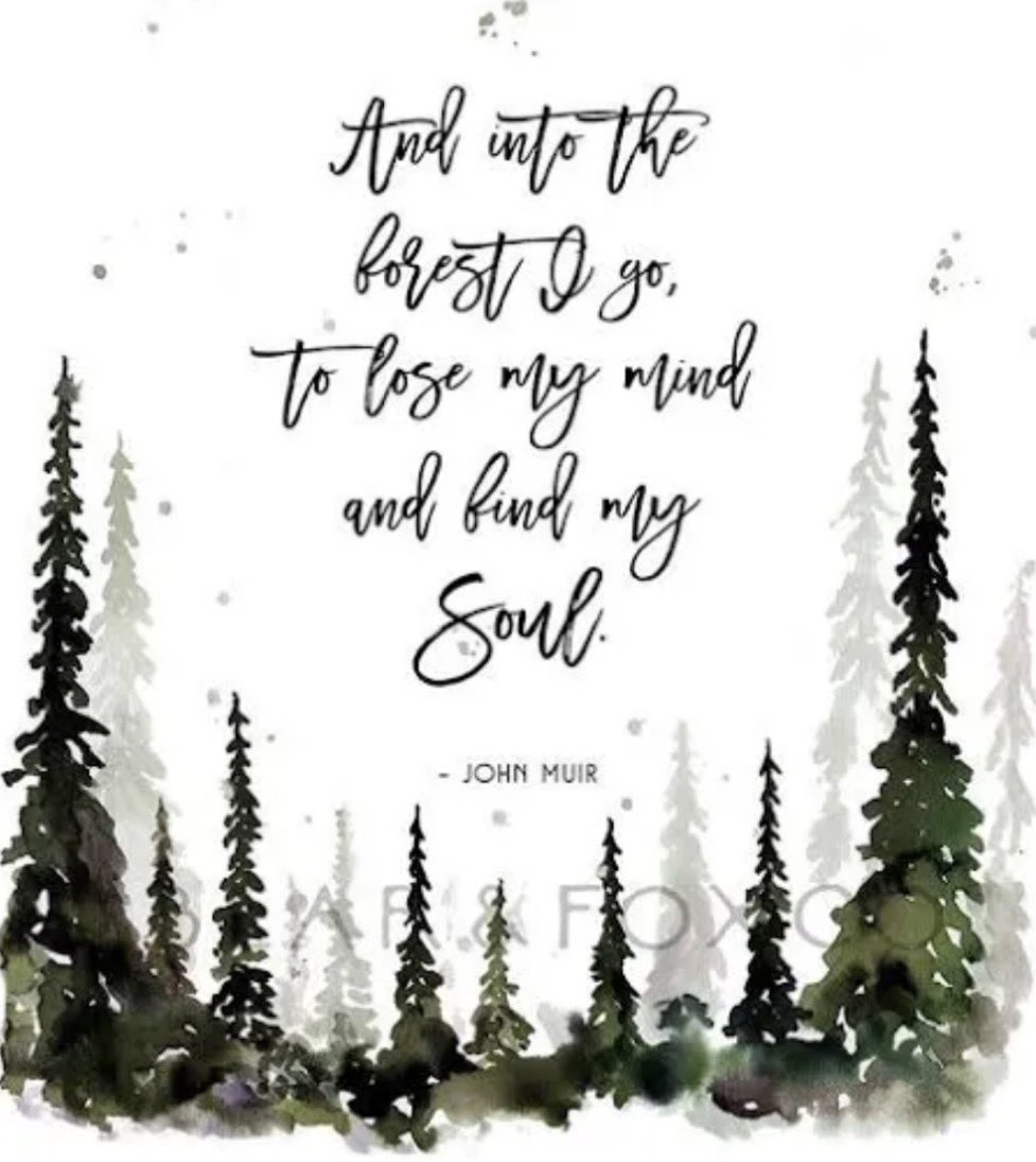 Jennifer tweet media