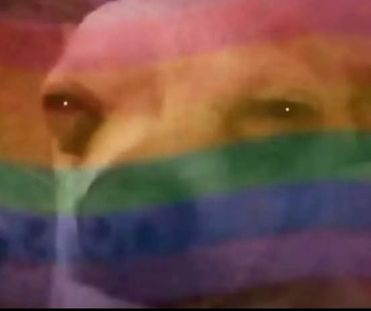 The Unapologetic One tweet media