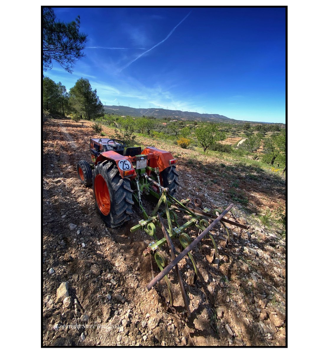 Steve Race tweet media