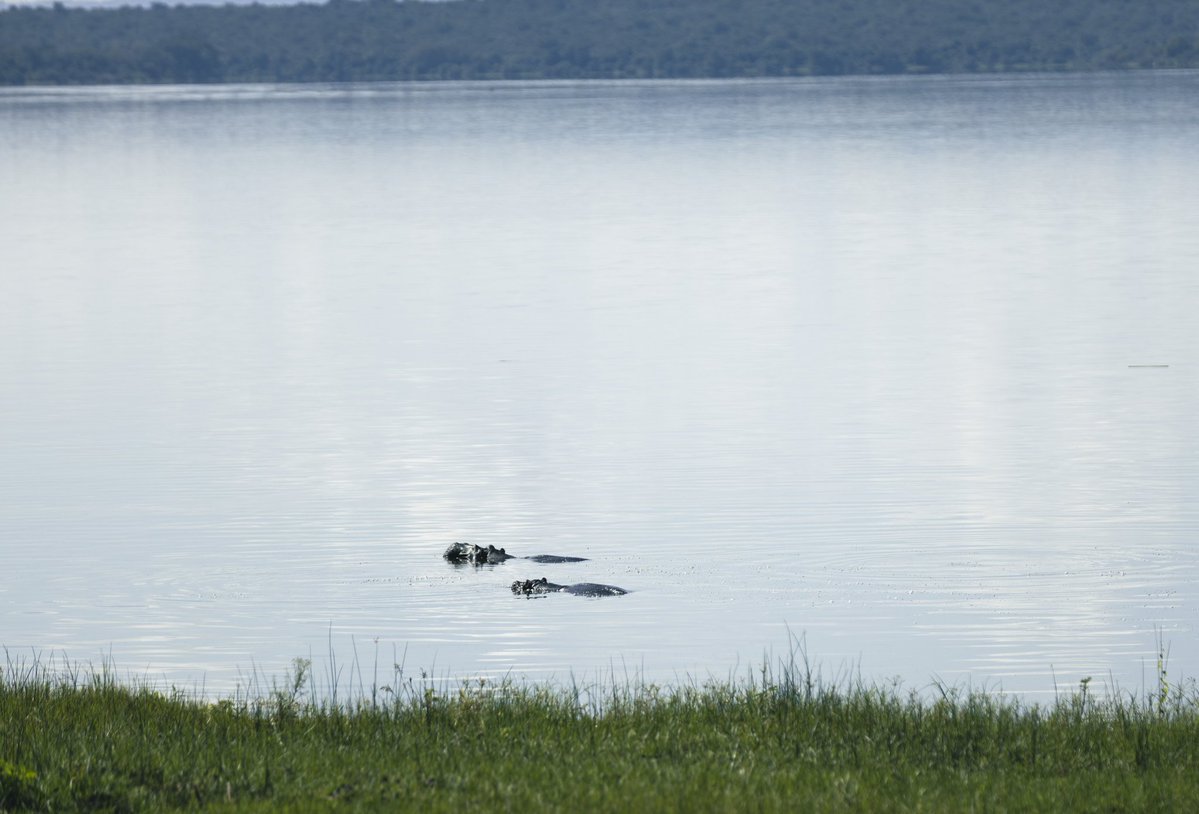 Tembera 250 (Travel 🇷🇼) tweet media