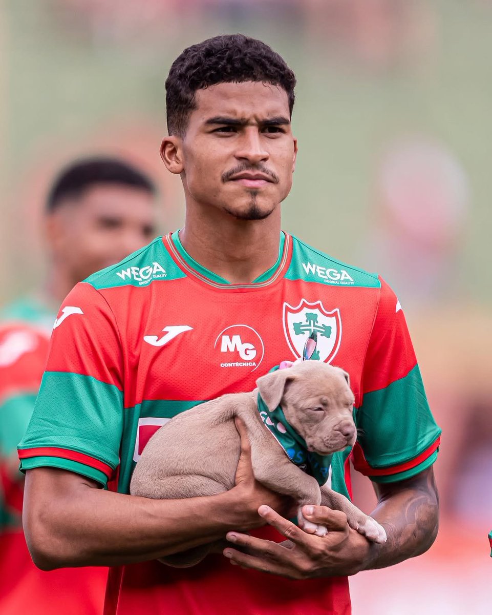 Cifut Brasil tweet media