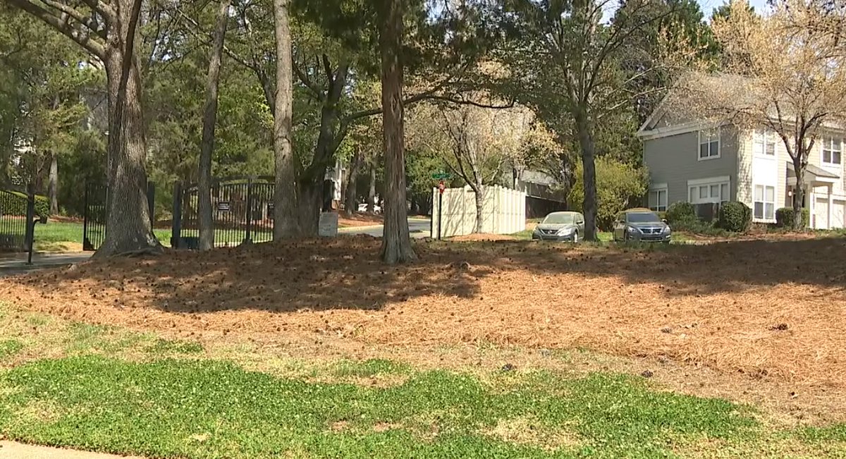 Queen_City_News's tweet image. HOMICIDE INVESTIGATION | Woman found dead in Charlotte apt; CMPD seeks video evidence #clt #crime #localnews 

Details &amp;gt;&amp;gt; qcnews.com/crime-and-publ…