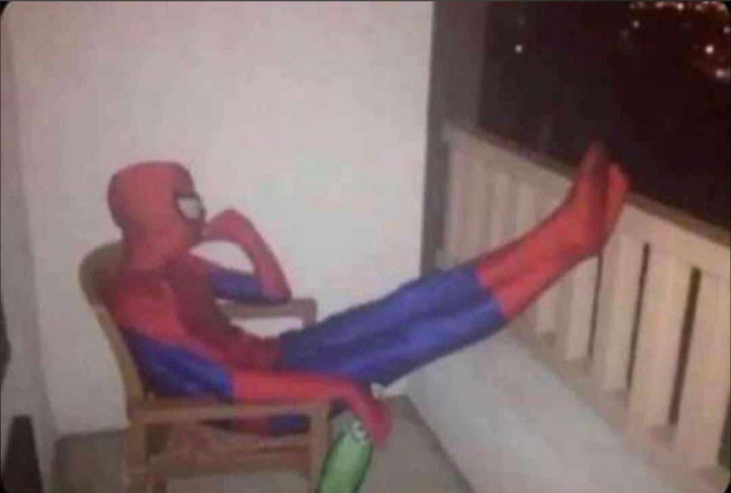 TO₿EXOLA 🕸 tweet media