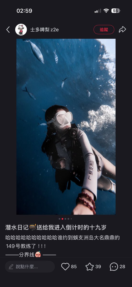 拖鞋浦 tweet media