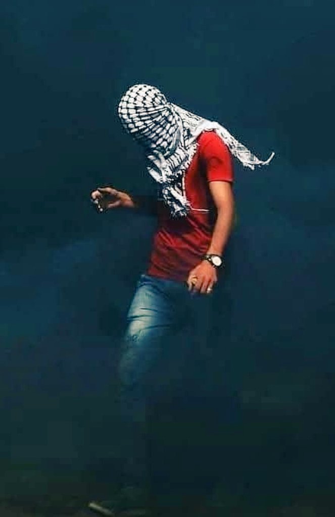 Ap0c1lypse 🍉 🐒❤️ tweet media