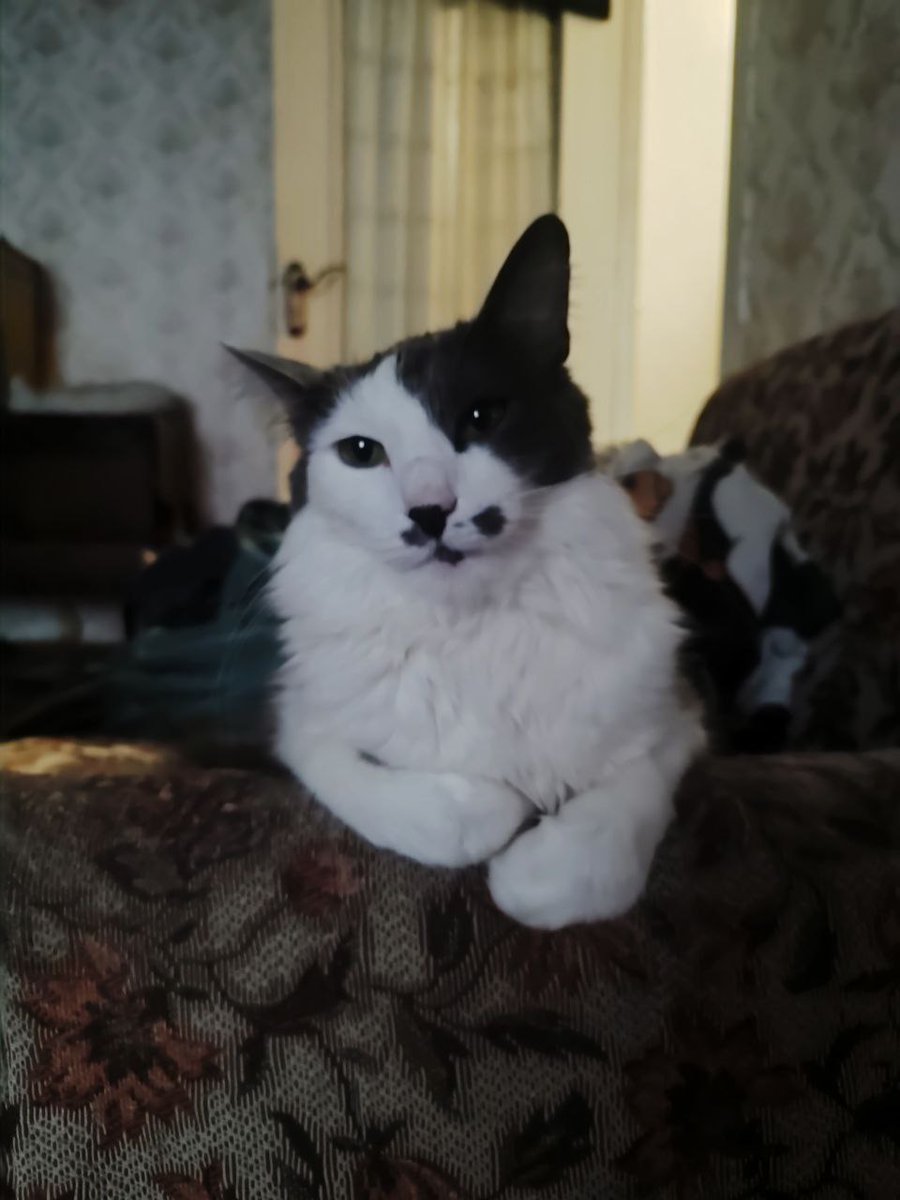 fеmSim_оn 🖖🏼 tweet media