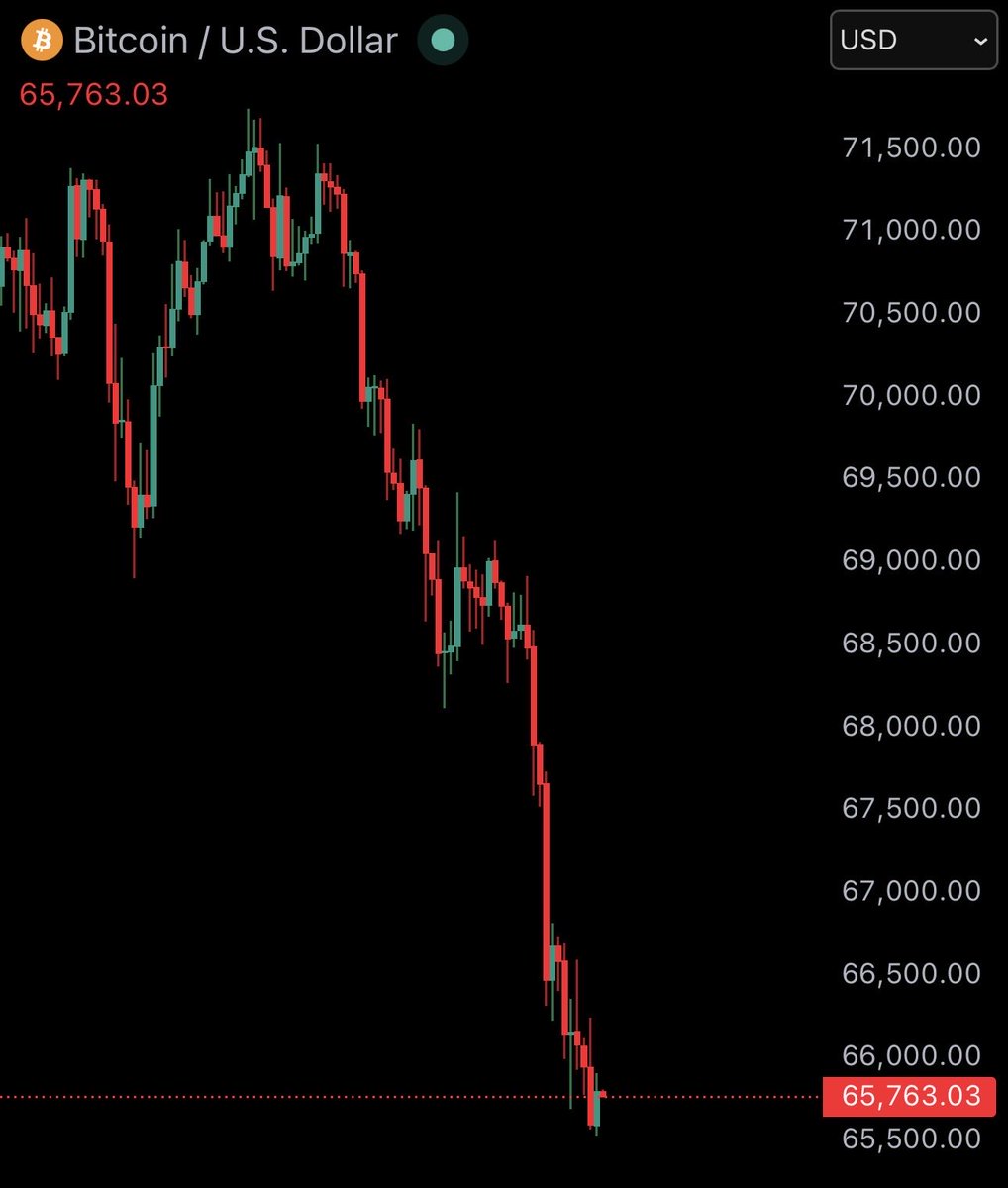 Bitcoin Junkies tweet media