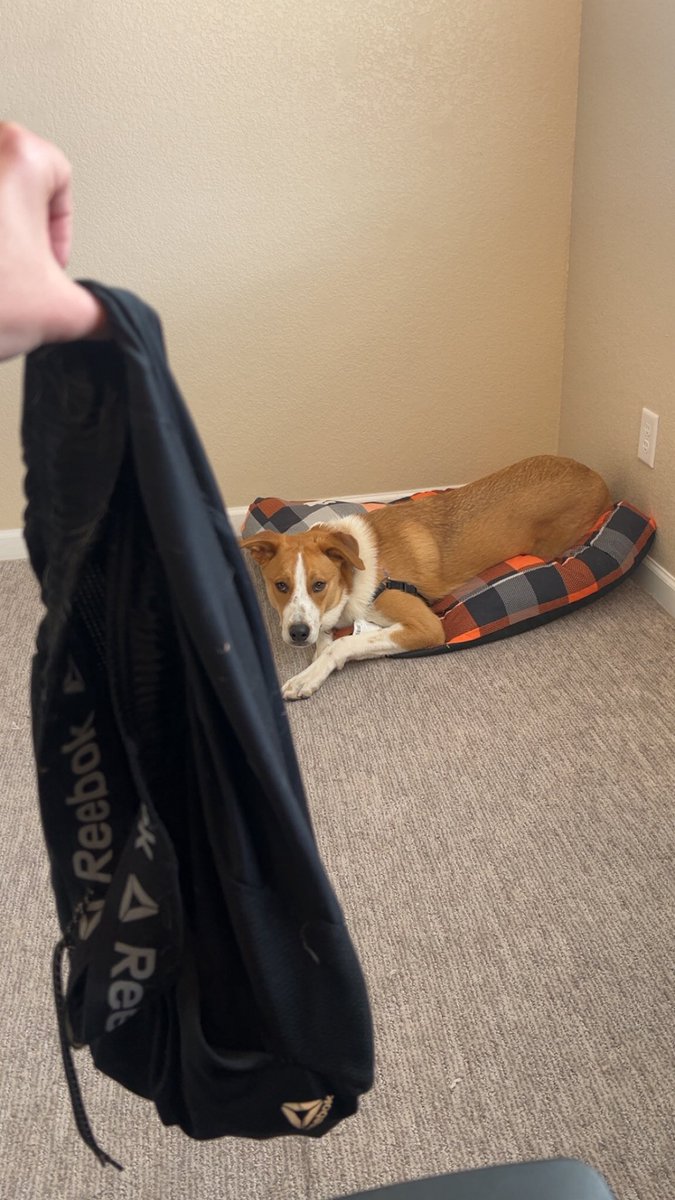 TheNotoriousPIF #FreeIran tweet media