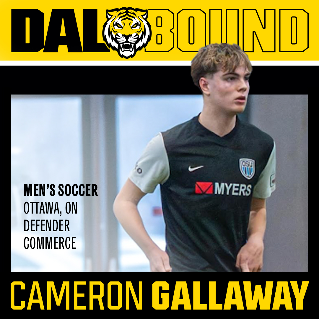 Dal Tigers tweet media