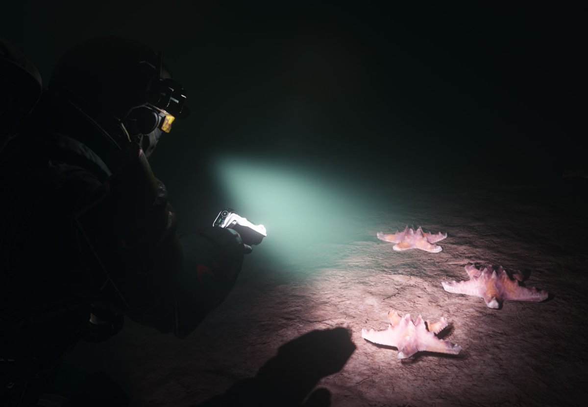 CMDR Quattro tweet media