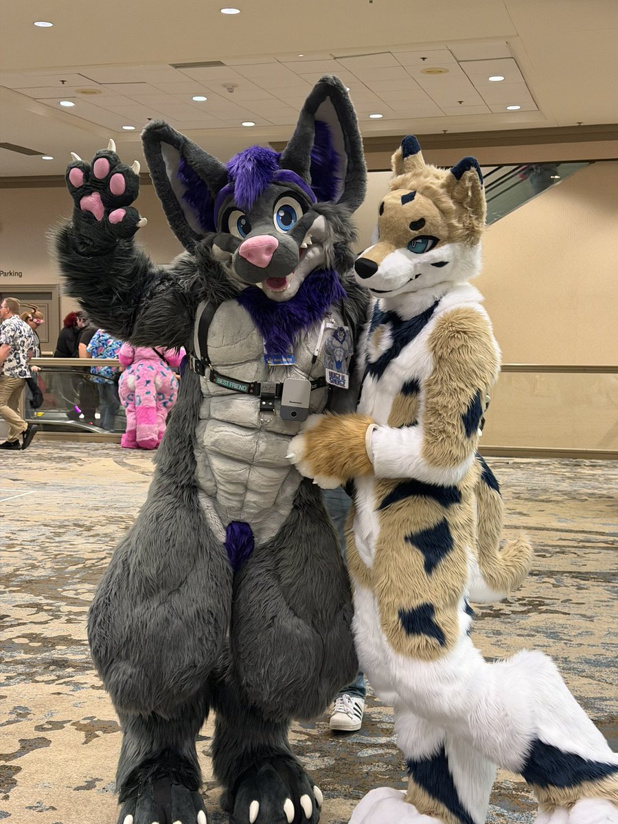 Cloud🔜FWA tweet media