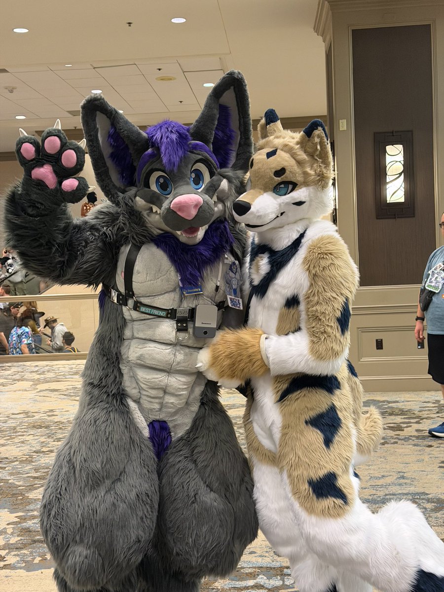 Cloud🔜FWA tweet media