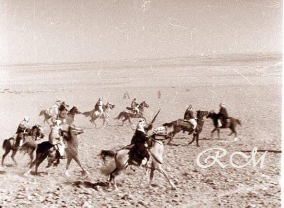 نبض القبائل الأردنية 🇯🇴🔱 tweet media