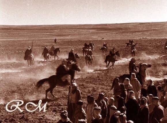 نبض القبائل الأردنية 🇯🇴🔱 tweet media