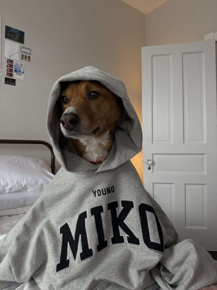 niña 💌 tweet media