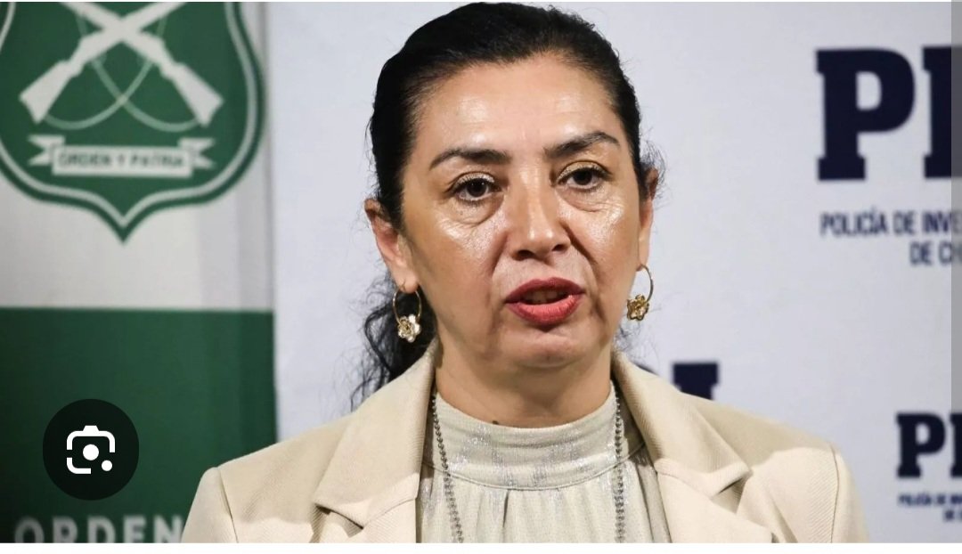 @SaraLaPatriota de 🇨🇱 tweet media