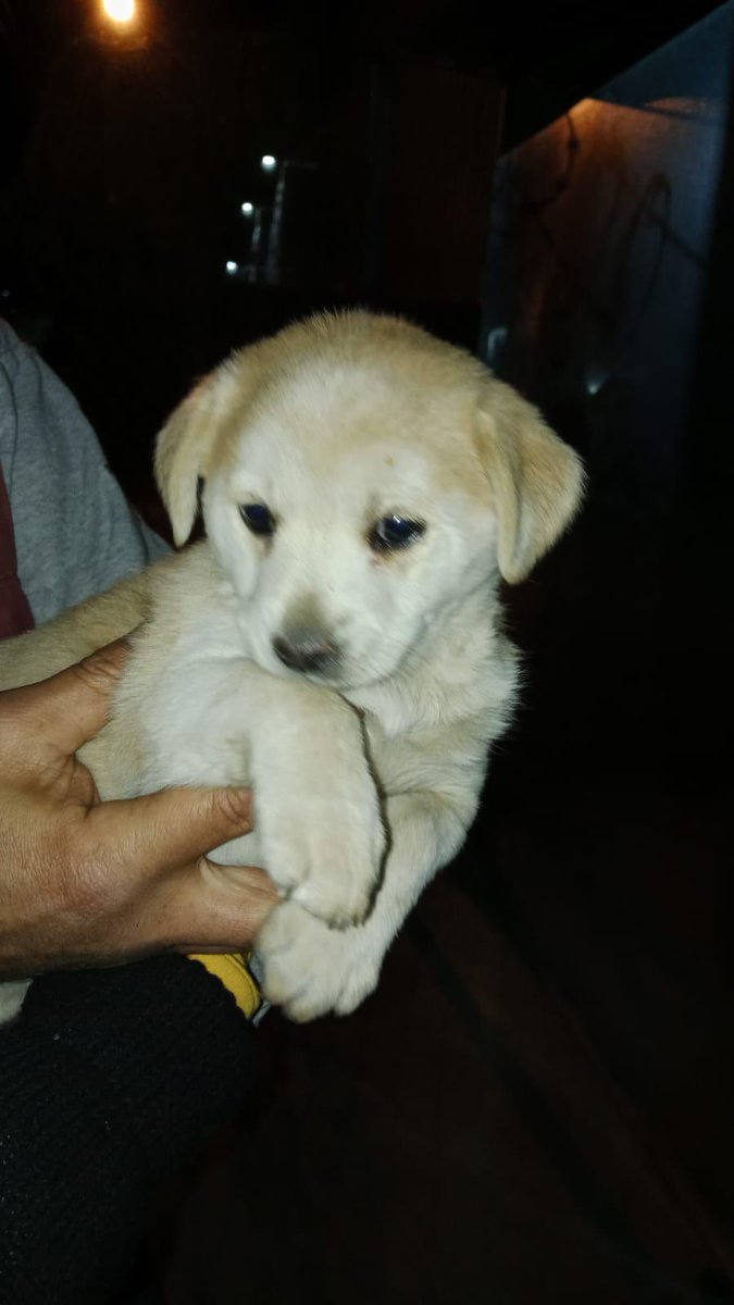 Gina..🌷 tweet media