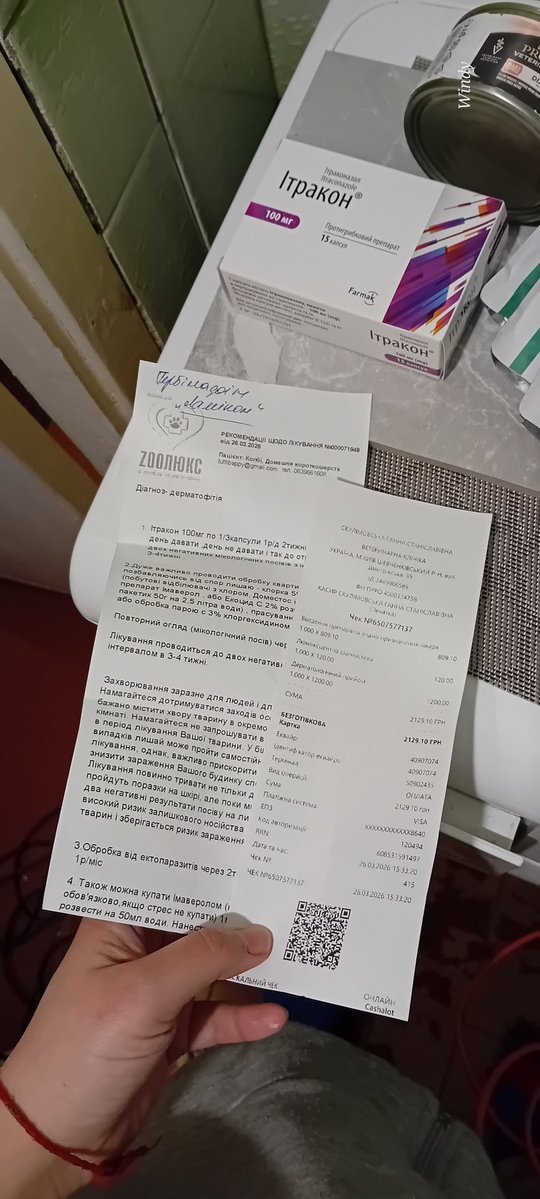 𝓦𝓲𝓷𝔂𝓪 tweet media