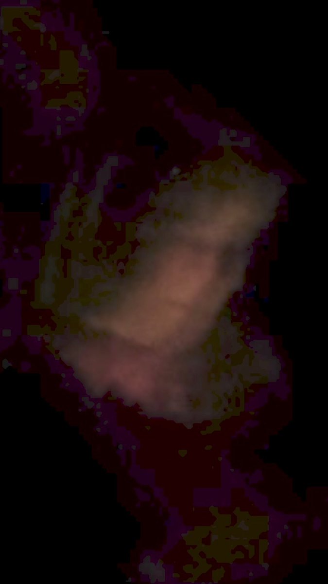 Ryan Bledsoe tweet media