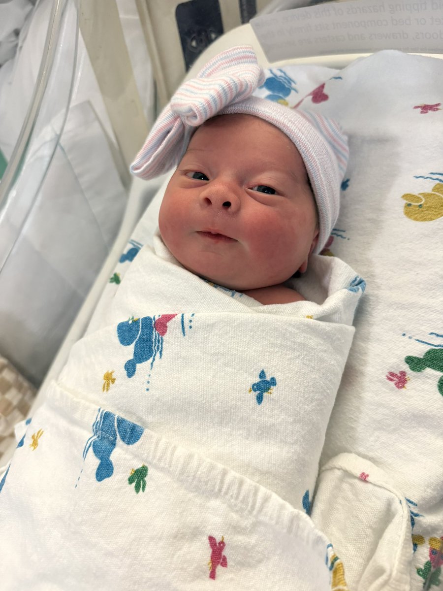 Josh Appelbaum tweet media