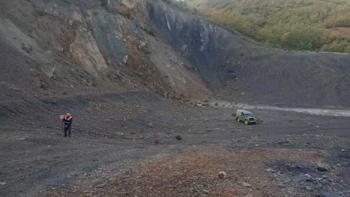 FundaciónDinosaurios tweet media