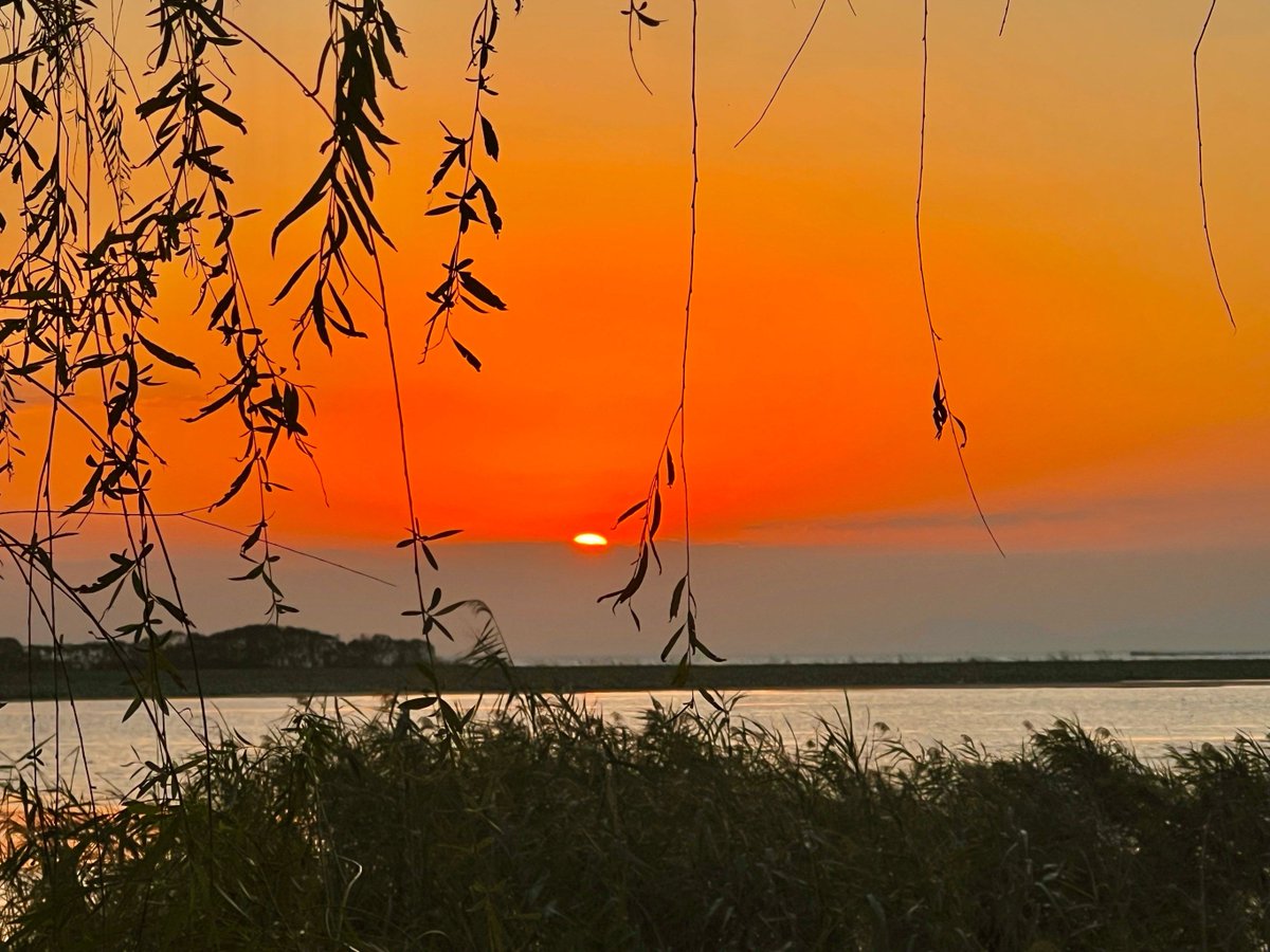 Mark Miles tweet media