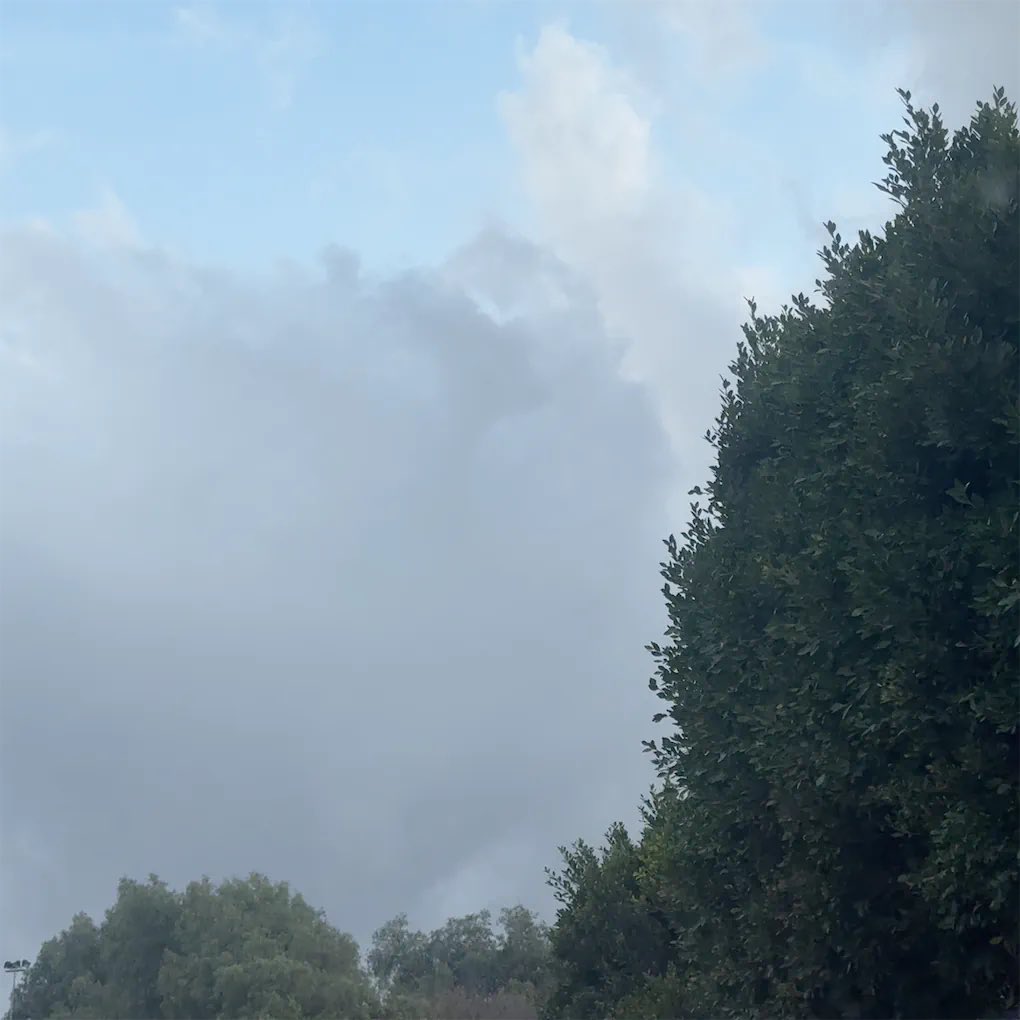 ☀️🌳☁️