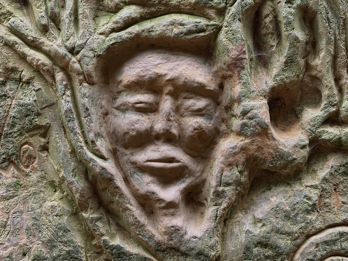 Tim the Yowie Man tweet media