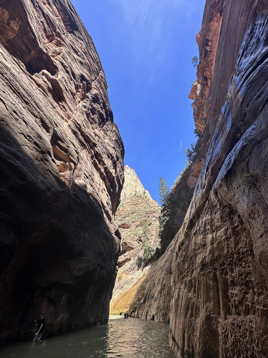 TheOneToCee tweet media