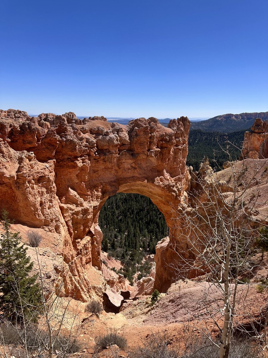 TheOneToCee tweet media