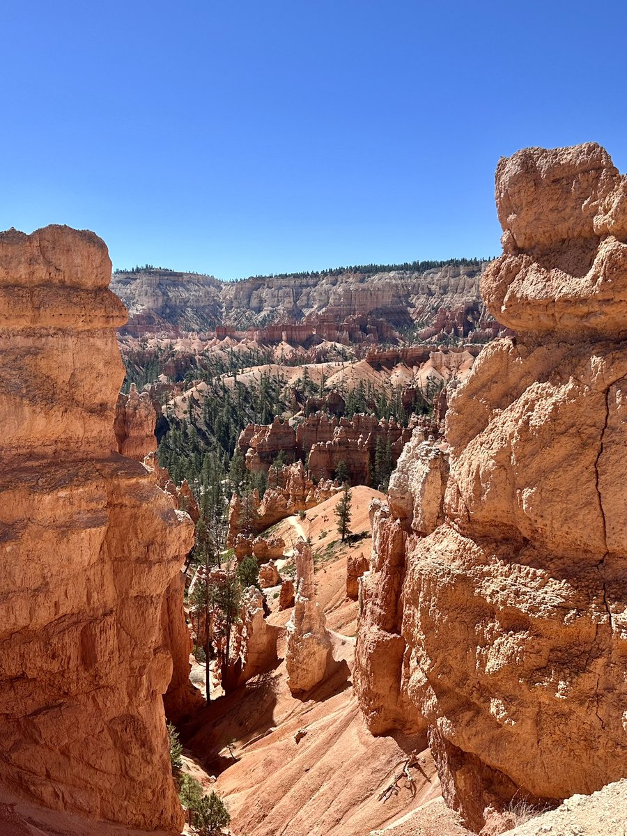 TheOneToCee tweet media