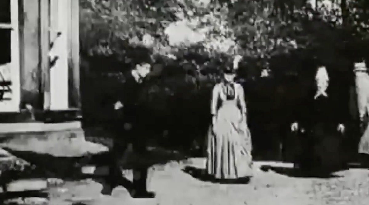 national abstragedy fan tweet media