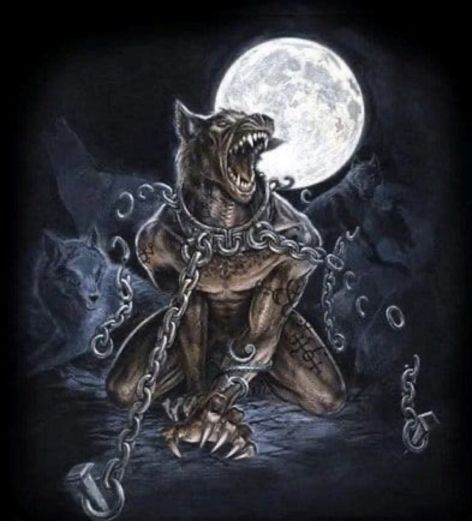 ⋆cheri tweet media