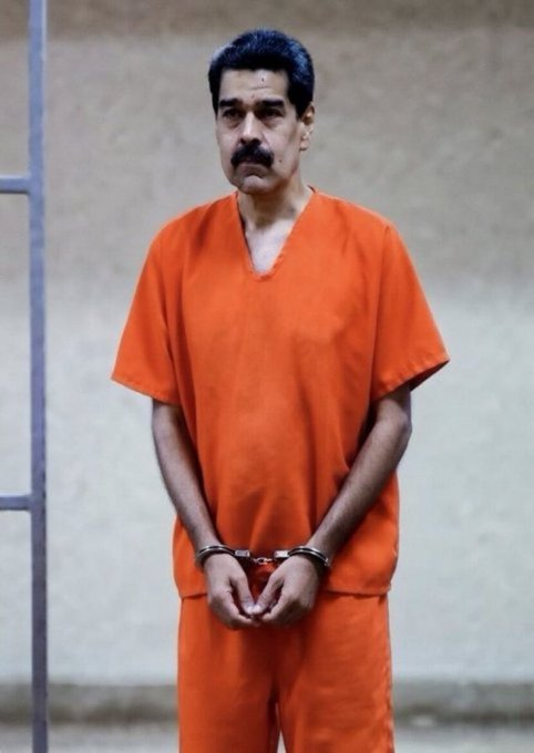 Terra Brasilis tweet media