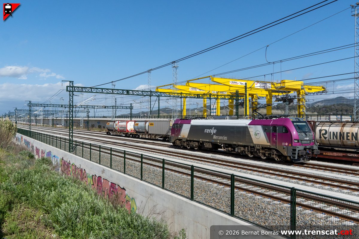 trenscat tweet media