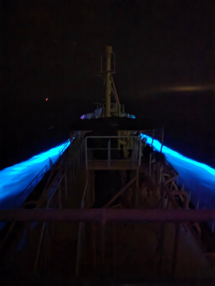 ゆーごろー tweet media