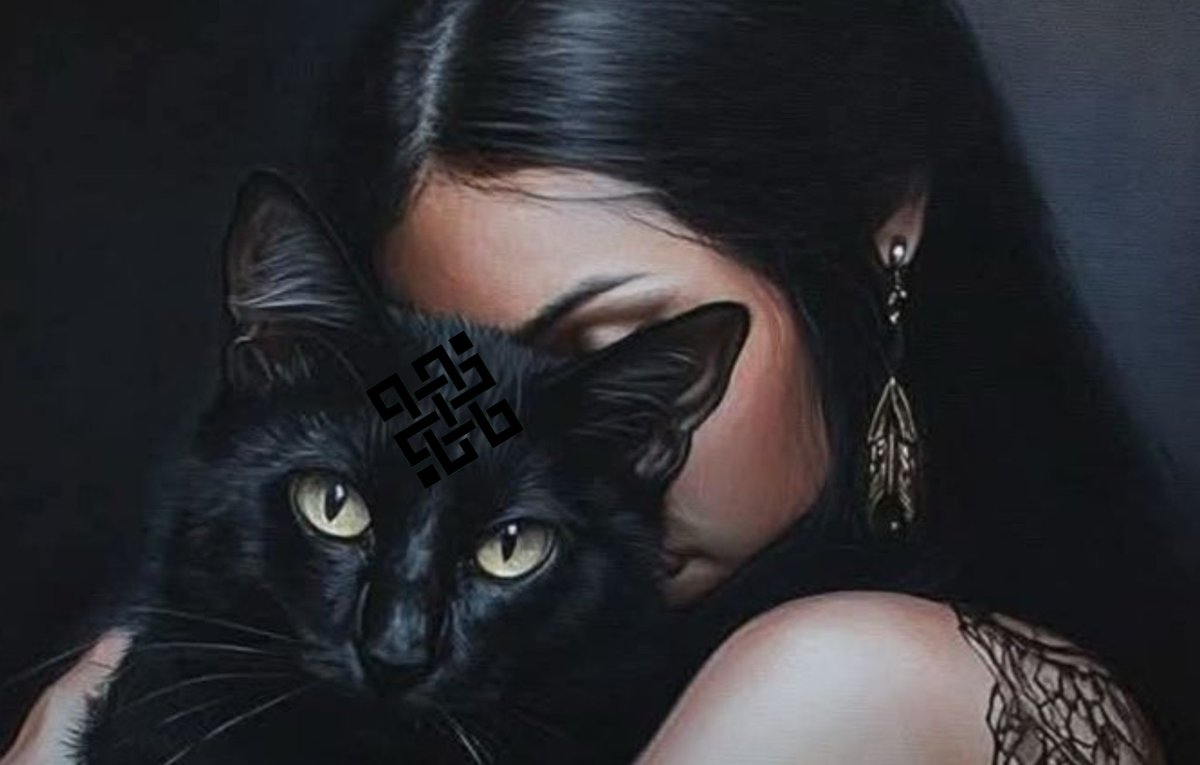 willox (❖,❖) tweet media