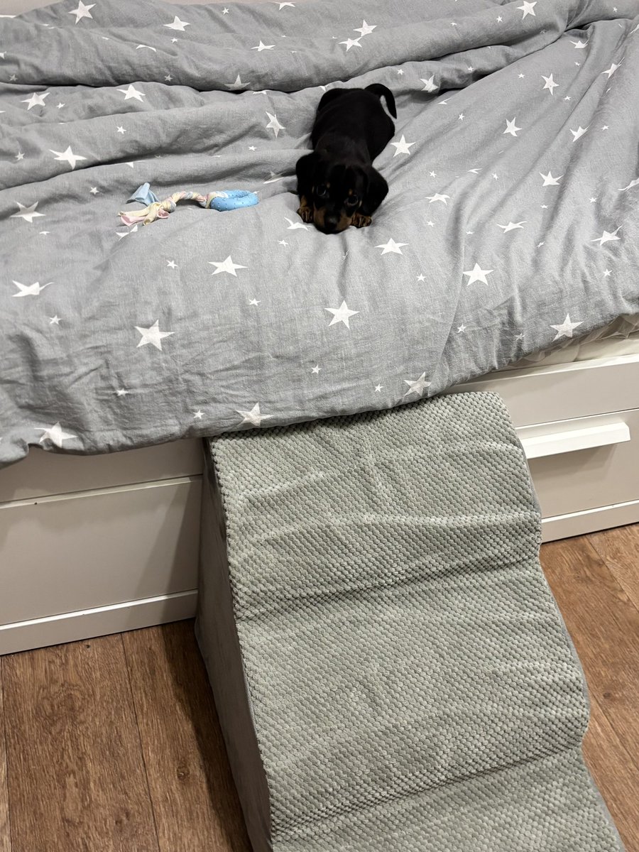 🧸✮⋆˙ tweet media