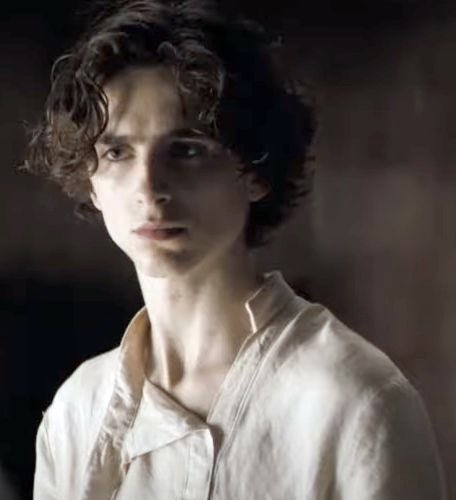 cupcake atreides 🧁 tweet media