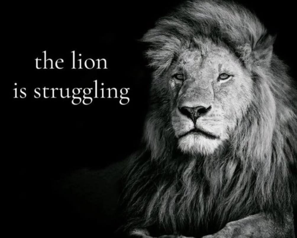 M80 💣 tweet media