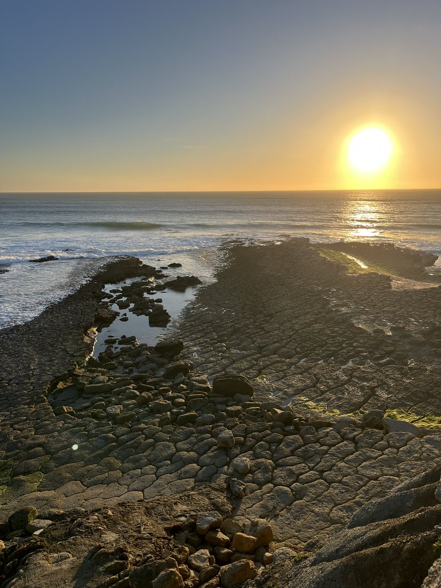 Simba3000 tweet media